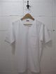 BARENA-DX 239